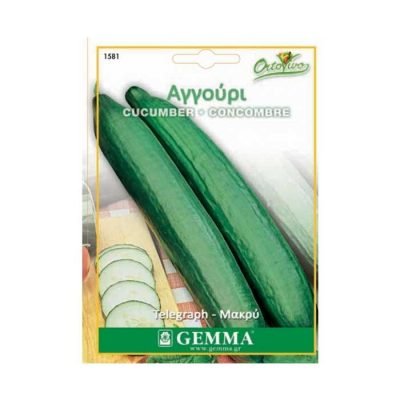 Αγγούρι Μακρύ