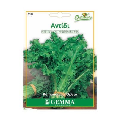 Αντίδι Σγουρό