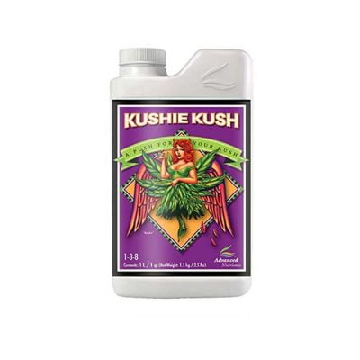 Kushie Kush