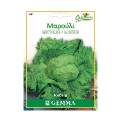 Μαρούλι Iceberg