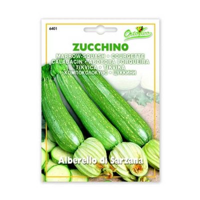 Κομποκολόκυθο