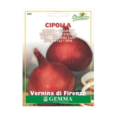 Κρεμμύδι Ξηρό Κόκκινο