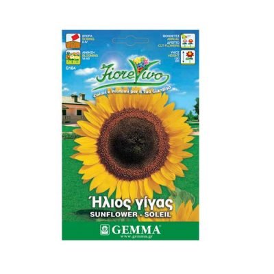 Ήλιος γίγας