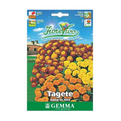 Κατιφές Διπλός Μπορντούρα