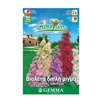 Βιολέτα Διπλή Μίγμα