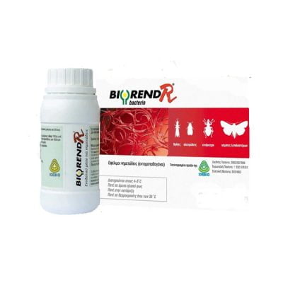 Bio Insecta Biorend - R Bacterio