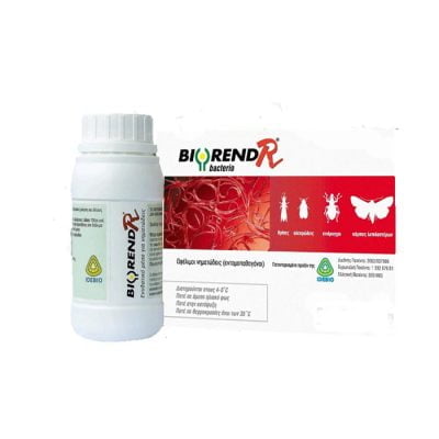 Bio Insecta Biorend - R Green