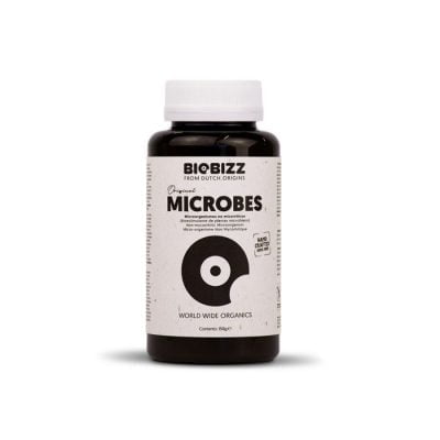 Biobizz Microbes