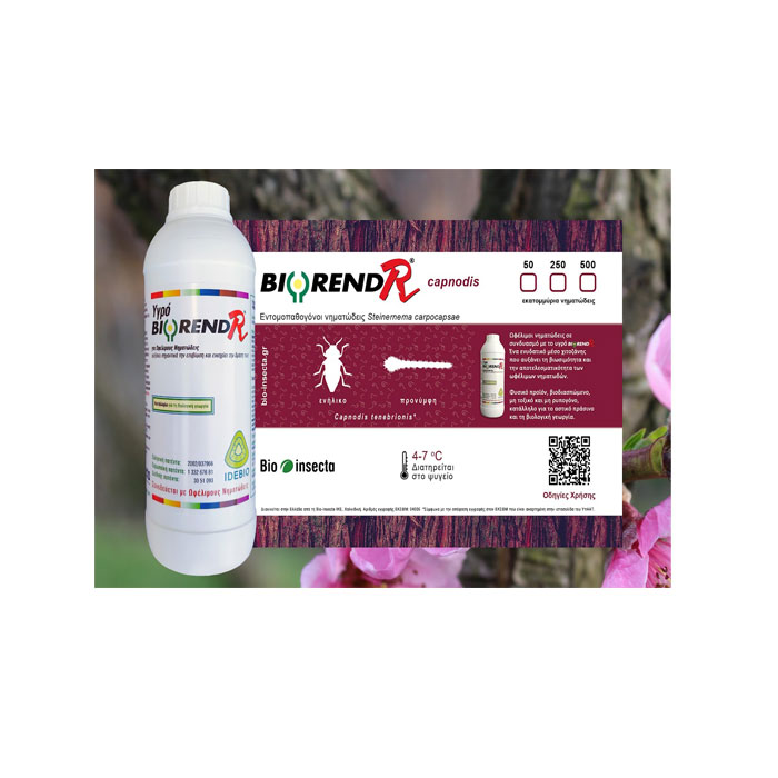 Biorend-R Καπνώδης Biorend-R Καπνώδης