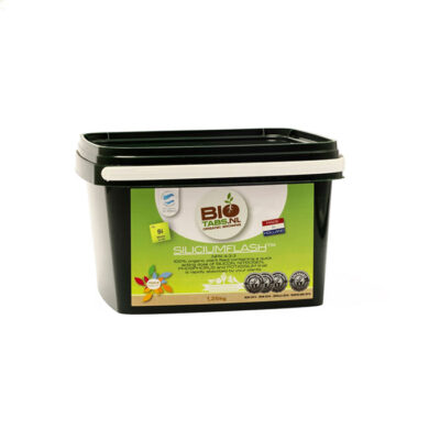 Biotabs Silicium Flash