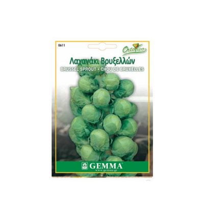 Λαχανάκι Βρυξελλών