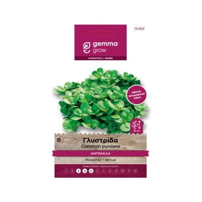 Γλυστρίδα / Αντράκλα