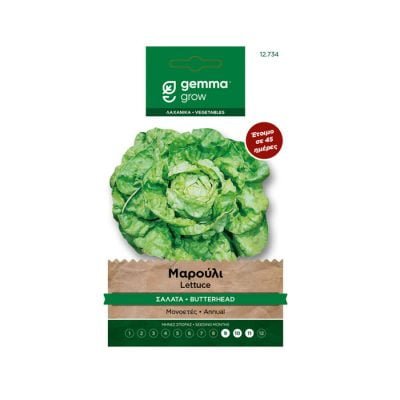 Μαρούλι σαλάτα