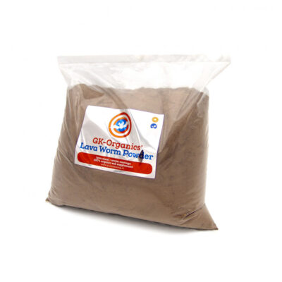 Guanokalong Lava worm