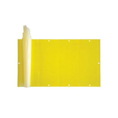 Χρωμοτροπικές παγίδες εντόμων