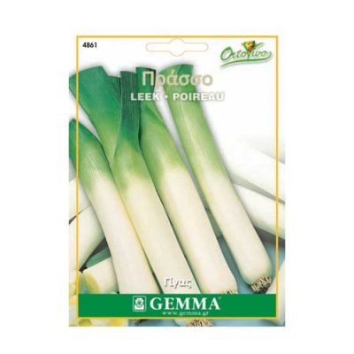 Πράσσο Γίγας