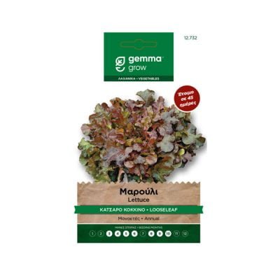 Μαρούλι κόκκινο κατσαρό