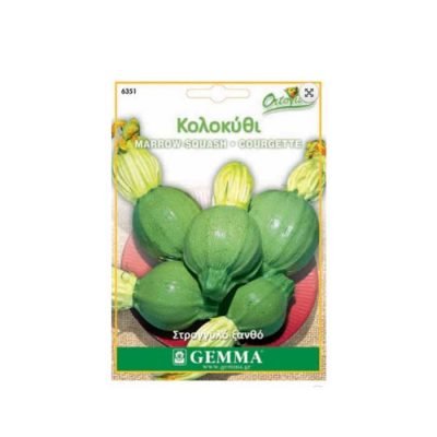 Κολοκυθάκι στρογγυλό