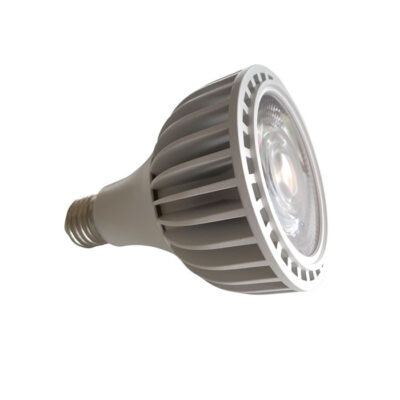 Ortoled spot Cob 20w