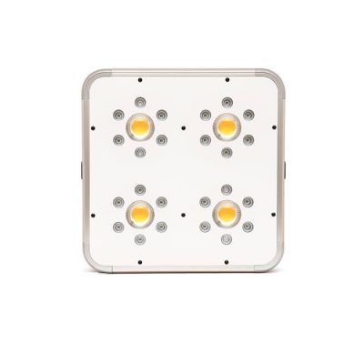 Ortoled Titanium 240w
