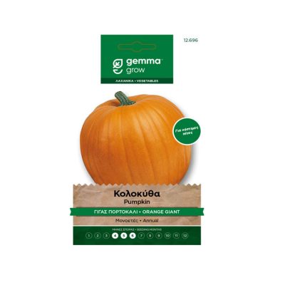 Κολοκύθα μεγάλη κίτρινη