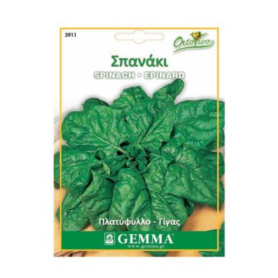 Σπανάκι Πλατύφυλλο Γίγας