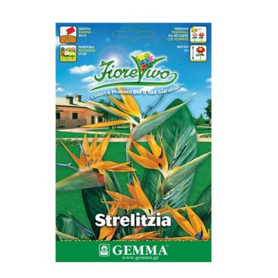 Στρελίτσια