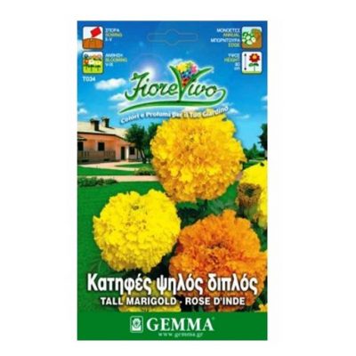 Κατηφές Ψηλός διπλός