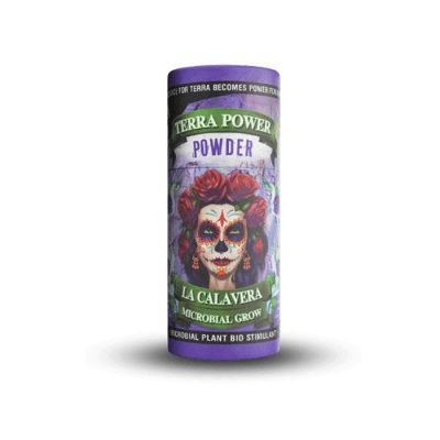 Terra Power - la Calavera Catrina