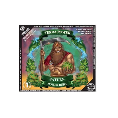 Terra Power - Saturn