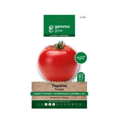 Τομάτα Campbell 33