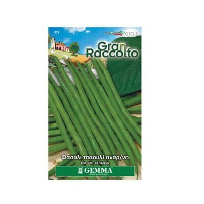 Φασόλι Τσαούλι αναρριχώμενο