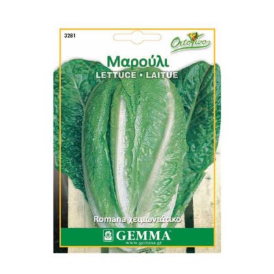 Μαρούλι Χειμωνιάτικο Romana